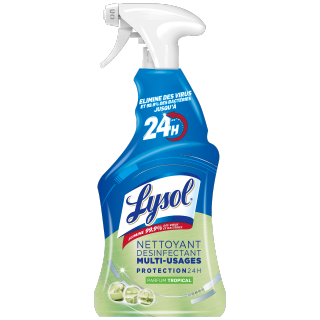 3665468301341_Lysol_Pisto_desinfectant_24h_multiusages_500ml_FOP_HD.png